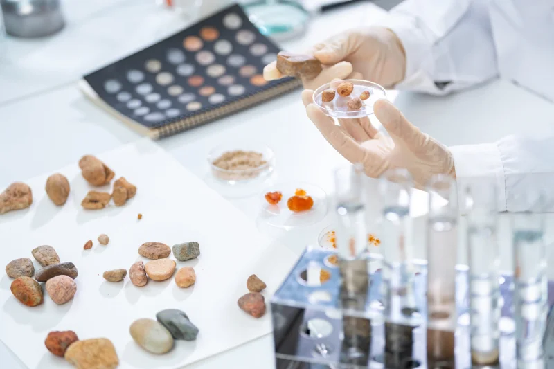 Research & Development